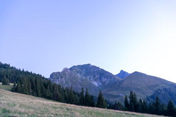 Obraz premium Starry Skies over the Gantrisch Mountains