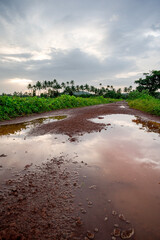 A landscape shot of dirt road with water logging in Verna, South Goa countryside, lush greenery, fields, palm trees in background, monsoon sky after sunset, clouds reflecting in muddy water.