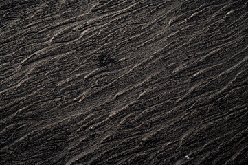 Sand texture on a Goa, India beach after rain, creating abstract patterns in brown sand.