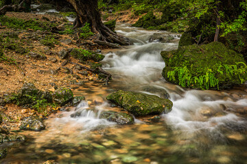 beautiful landscape of salalah oman during a khareef season.