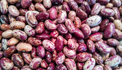 Close-up view of colorful, speckled beans.