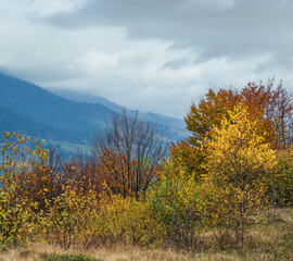 Fototapeta premium Cloudy and foggy day autumn mountains scene. Peaceful picturesque traveling, seasonal, nature and countryside beauty concept scene. Carpathian Mountains, Ukraine.