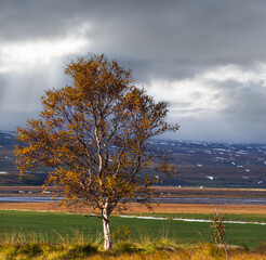 Beautiful mountain view during auto trip in North Iceland. Spectacular Icelandic landscape with  scenic nature: mountains, fields, clouds, glaciers, rocks, groves.