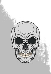 Color Skull Illustration – Detailed Skeleton Head Halloween Vector Artwork