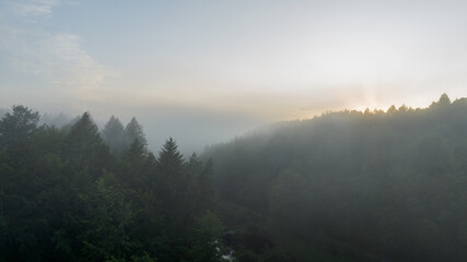 misty morning in the mountains