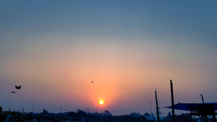 Birds flying across colorful sunset sky over city market silhouettes.
