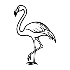 Fototapeta premium Flamingo on a white background. vector illustration of flamingo.