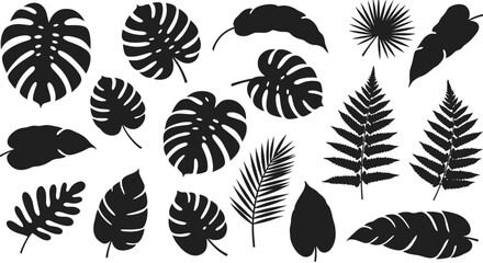 Collection of Tropical Leaves Silhouettes Perfect for Decorating and Designing Your Projects