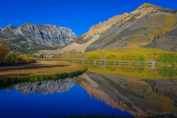 Obraz premium Colorful autumn landscape near Bishop, California, featuring serene alpine lakes, vivid fall foliage, and dramatic Sierra Nevada mountain reflections under a deep blue sky.
