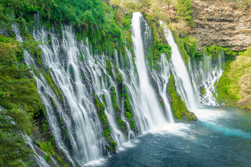 Fototapeta premium Majestic view of Burney Falls in Northern California, with cascading waters surrounded by vibrant greenery and rocky cliffs, captured during peak flow.