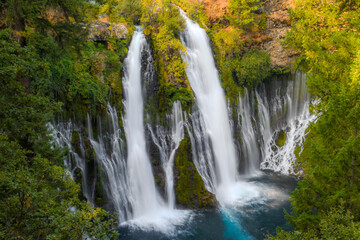 Obraz premium Majestic view of Burney Falls in Northern California, with cascading waters surrounded by vibrant greenery and rocky cliffs, captured during peak flow.