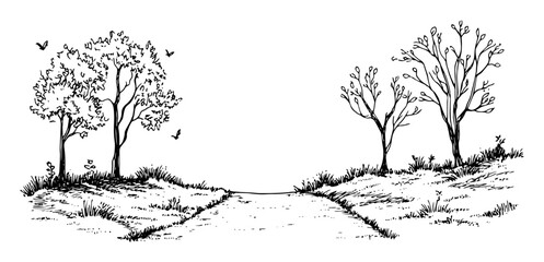 country road with trees – outline rural landscape drawing