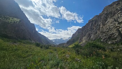 Naklejka premium panorama of the mountains
