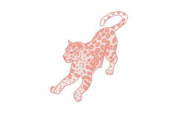 illustration of a panter
