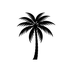 Silhouette palm tree on transparent background