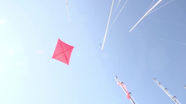Red kite flying in the blue sky during a kite festival on a sunny day