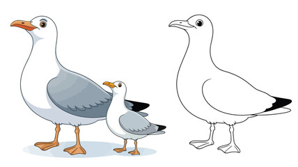 Obraz premium Two seagulls one colored one outline drawing
