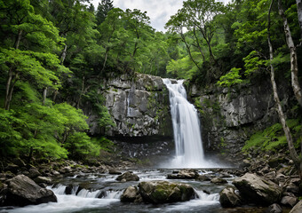 Fototapeta premium waterfall in the forest