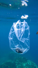 Plastic bag underwater pollution