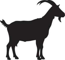 Fototapeta premium Black silhouette of a standing goat with horns silhouette