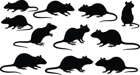 Silhouettes of black rats in various poses, rodent animal shapes, wild rats, mice, pest silhouettes, nature animals on white backgroun
