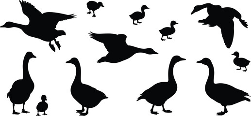 Flying and standing goose silhouettes, adult and baby geese vector set, black duck family clipart for farm, wildlife, nature design © Hasem Creative