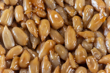 Chinese Watermelon Seed Brittle Squares with Sweet Glaze