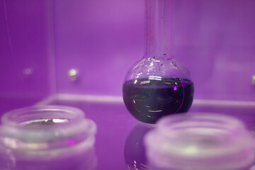 Round-Bottom Flask with Dark Liquid in Lab Setting