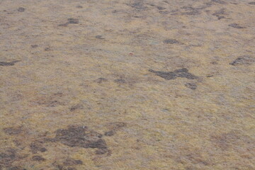 sand and water