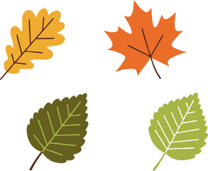 Assorted Autumn Leaves: Oak, Maple, and Birch Vector Set