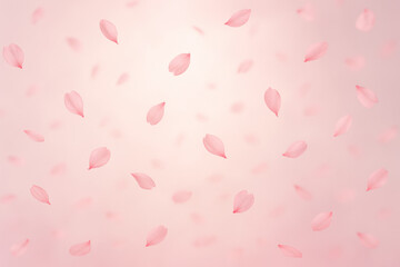 Falling Cherry Blossoms - Pink Background, Illustration