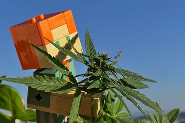 Naklejka premium LEGO Minecraft figure of main female character Alex hiding behind young female hemp plant, latin name Cannabis Sativa. Sunlit by summer daylight sunshine, blue skies in background. 