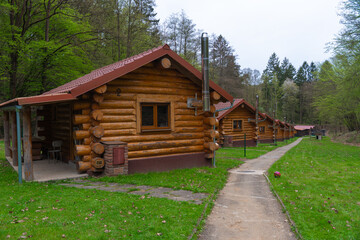 A line of rustic wooden cabins with red tile roofs stretches into the forest. Each house has a small fenced yard and chimney. A winding path leads through the green spring landscape. Cottage core