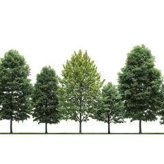 Fototapeta premium High-Resolution 3D Render of Five Lush Green Trees on a Black Background, Ideal for Landscaping and Nature Designs