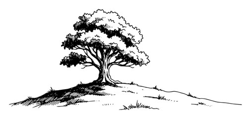 single tree rural landscape hand drawn vector illustration