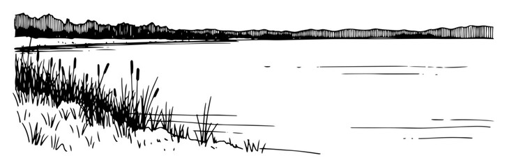 river bank with reeds landscape sketch vector illustration © Aisha Kudorova