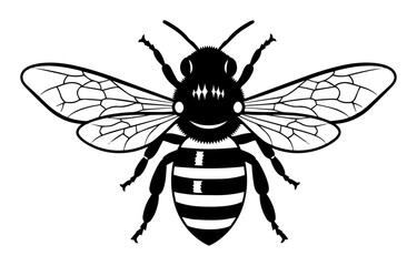 honey bee insect top view detailed vector illustration