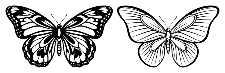 decorative butterfly pair black line art illustration
