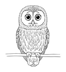 cute owl on a branch detailed vector illustration