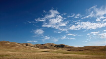 Naklejka premium Fields of golden grass stretch across the landscape, gently rolling hills rise in the distance, beneath a bright blue sky scattered with fluffy clouds. The serene scene invites tranquility.
