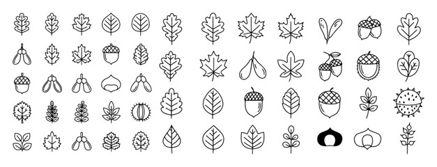 autumn leaves and seeds icon set fall foliage vector © Aisha Kudorova