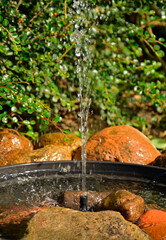 źródełko w ogrodzie, mini fontanna solarna otoczona kamieniami i zielonymi roślinami, tryskający strumień wody z małej fontanny ogrodowej, a solar fountain in a small bowl in the garden © kateej