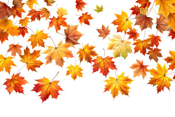 Fototapeta premium An array of colorful maple leaves in autumnal shades of red, orange, and yellow, scattered and isolated on a transparent background, evoking a sense of the changing season