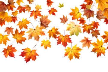 An array of colorful maple leaves in autumnal shades of red, orange, and yellow, scattered and isolated on a transparent background, evoking a sense of the changing season