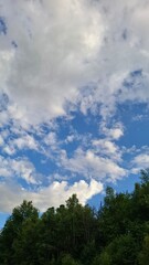 Obraz premium in the evening, sunset, beautiful clouds in the blue sky, summer season, nice summer weather