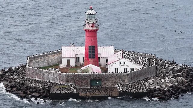 Detailed view of Kolka Lighthouse in the Baltic Sea, Latvia, surrounded by stone walls and breakwaters, with numerous seabirds perched on the structure above the waves.