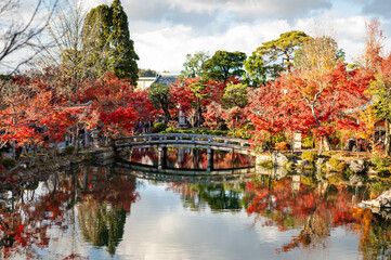Fototapeta premium Japanese Garden Bridge with Autumn Foliage Reflections in Kyoto