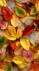 Fototapeta premium Awesome photo of many autumn fall leaves as seamless pattern background.