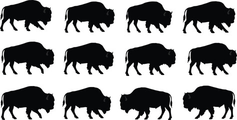A collection of 12 detailed, black silhouette bison illustrations in various walking and standing poses, perfect for nature, wildlife, or outdoor adventure designs.