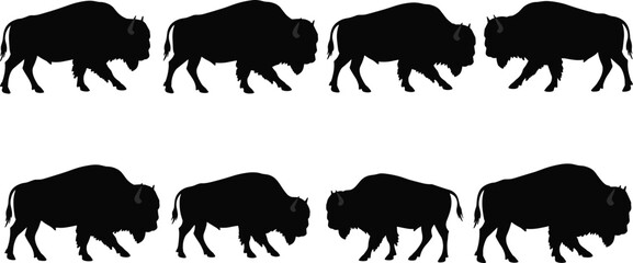 A collection of 12 detailed, black silhouette bison illustrations in various walking and standing poses, perfect for nature, wildlife, or outdoor adventure designs.